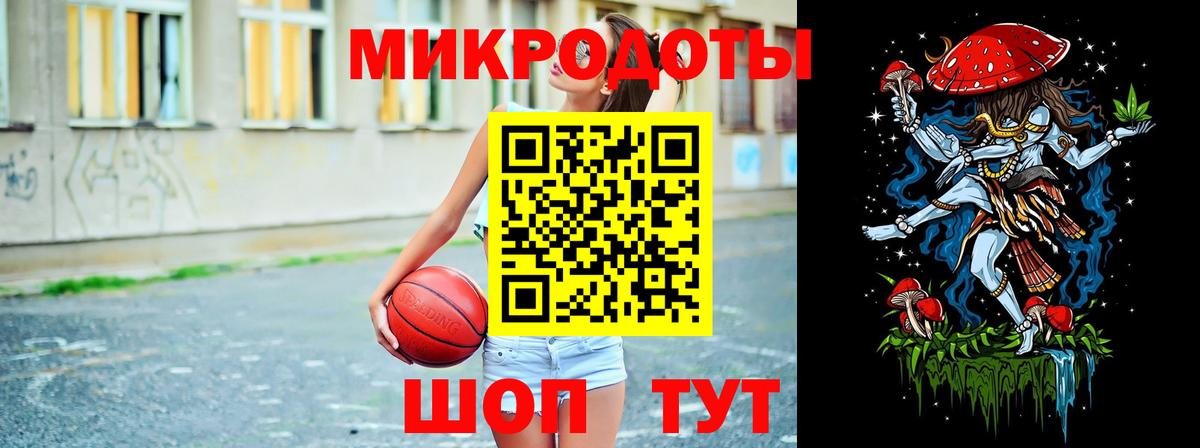 Чистополь  Псилоцибиновые грибы Psilocybe  Вход с VPN 